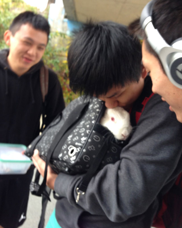 Ming-Ling (Director) delivering hot veggie lunches to students at Citadel High. Michelson, Jun, Humble the bunny, and Songnian. (left to right)